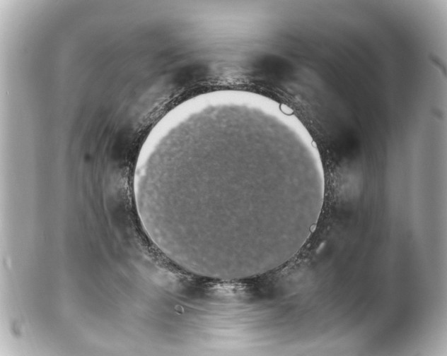 X0000101680415200807311523