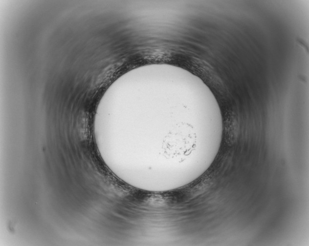 X0000101680416200807311523