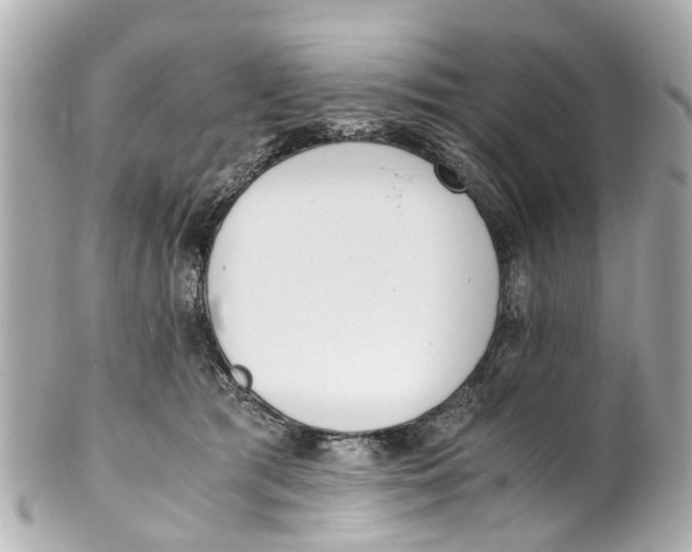 X0000101680417200807311523