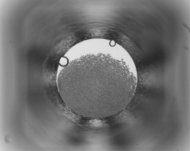 X0000101680419200807311523