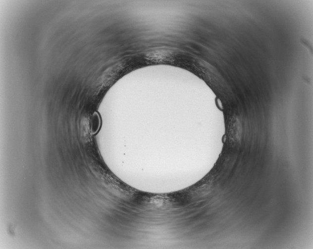 X0000101680420200807311523