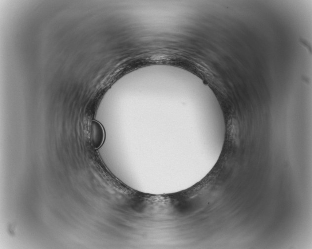 X0000101680421200807311523