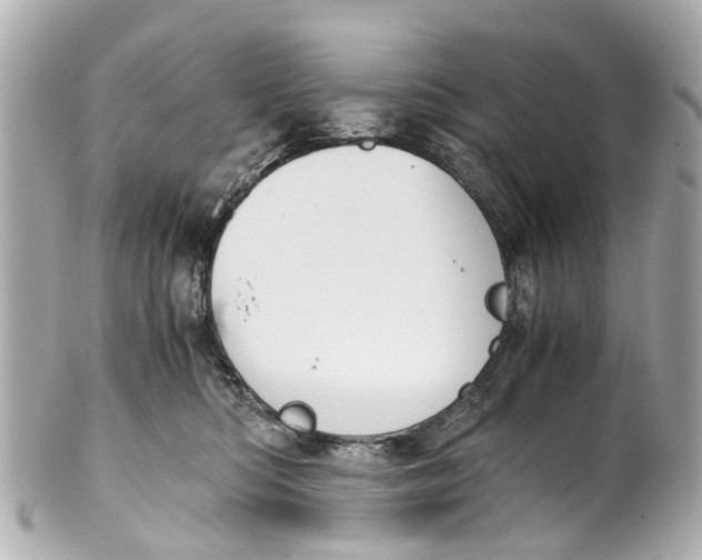 X0000101680422200807311523