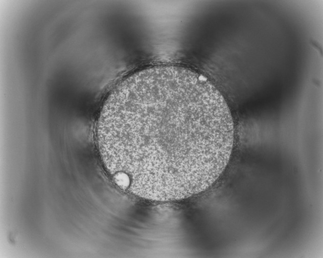 X0000101680423200807311523