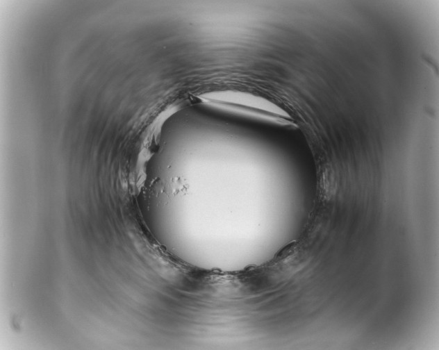 X0000101680424200807311523