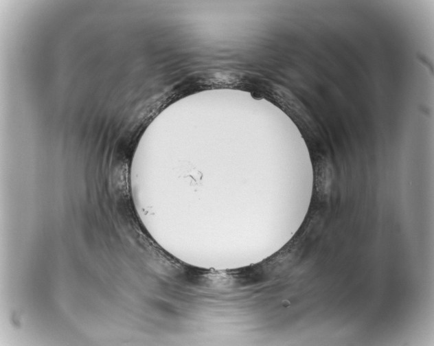 X0000101680425200807311523