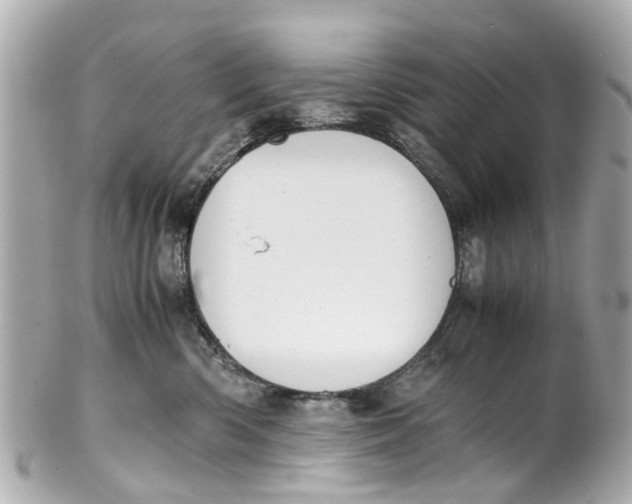 X0000101680426200807311523