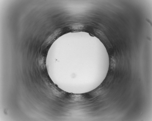 X0000101680428200807311523