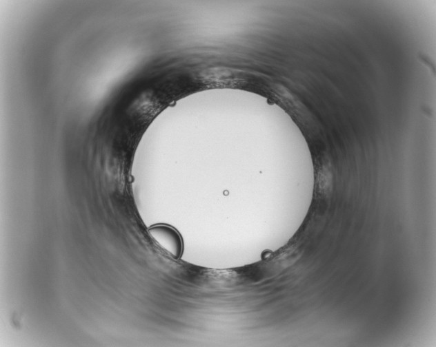 X0000101680429200807311523