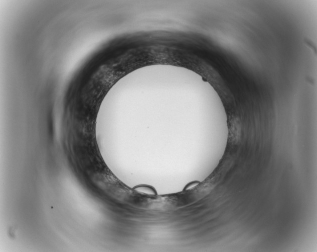 X0000101680430200807311523