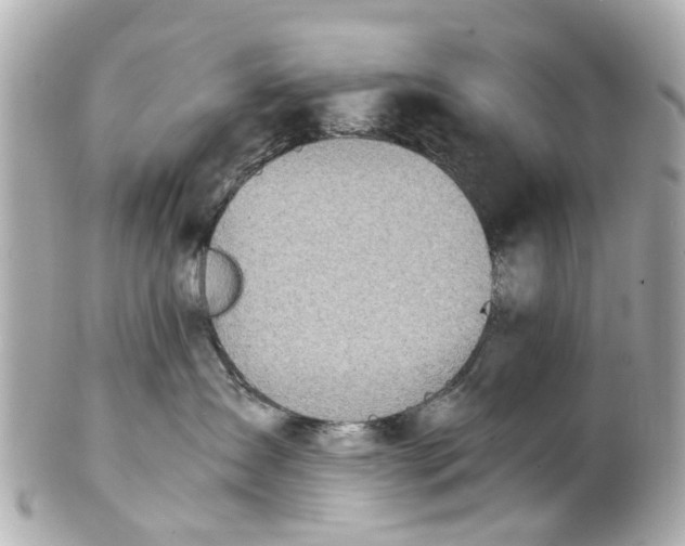 X0000101680431200807311523