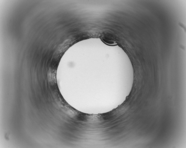 X0000101680432200807311523