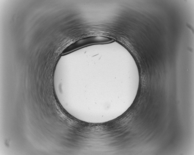 X0000101680433200807311522