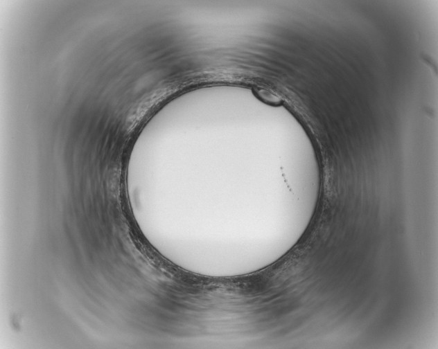 X0000101680434200807311522