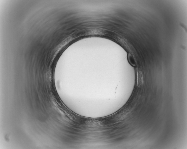 X0000101680435200807311522