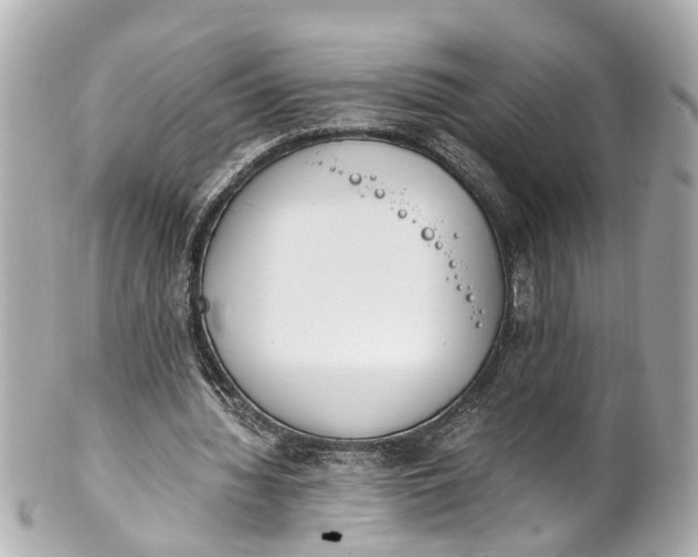 X0000101680436200807311522