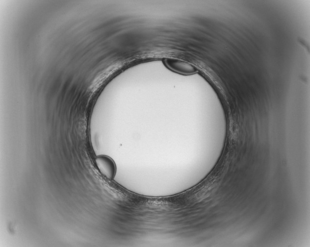 X0000101680437200807311522