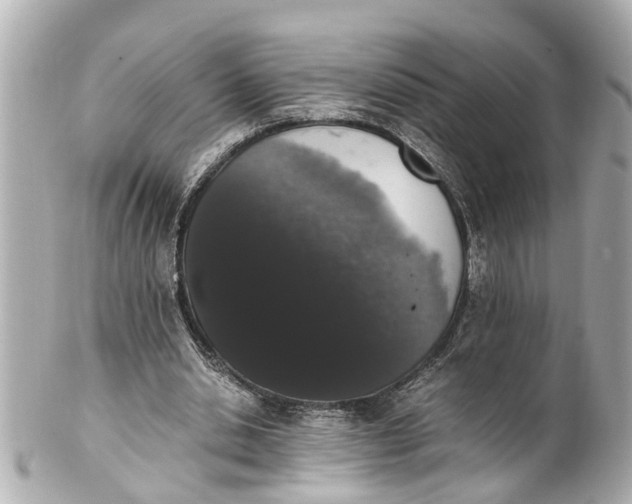 X0000101680438200807311522