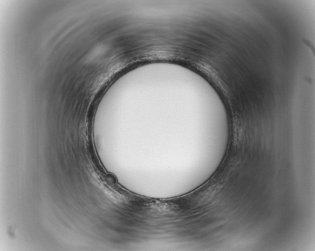 X0000101680439200807311522