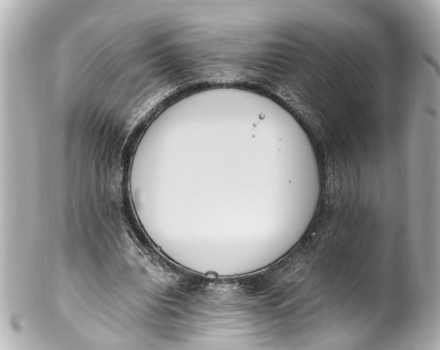 X0000101680440200807311523