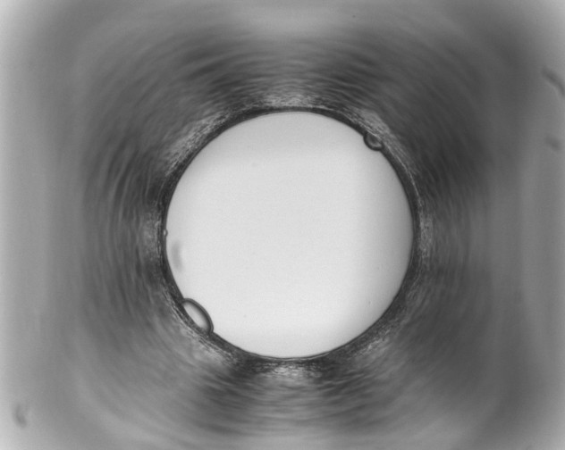 X0000101680441200807311523