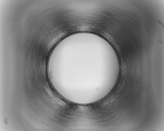 X0000101680442200807311523