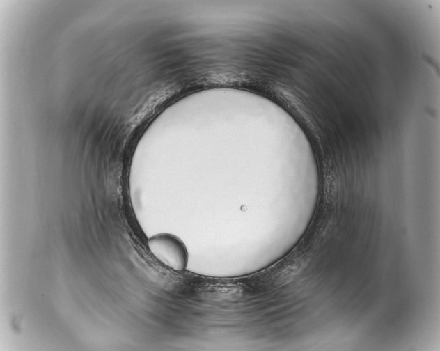 X0000101680443200807311523