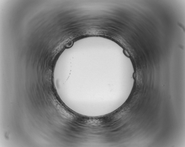 X0000101680445200807311523