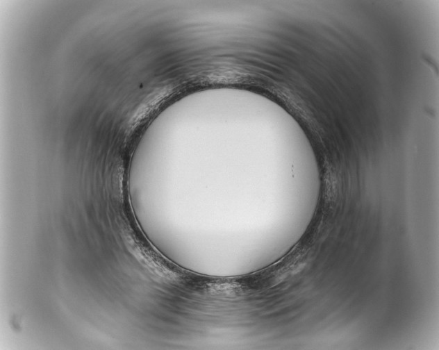 X0000101680446200807311523