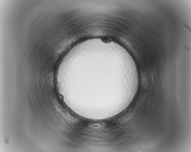 X0000101680447200807311523