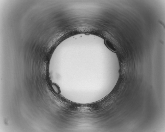 X0000101680448200807311523