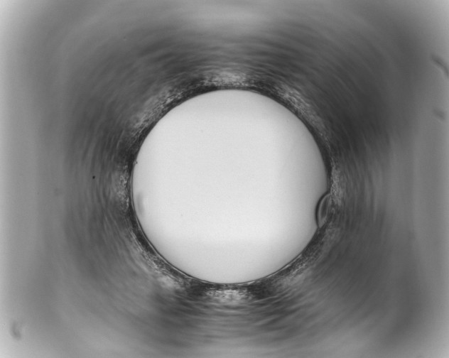 X0000101680449200807311523