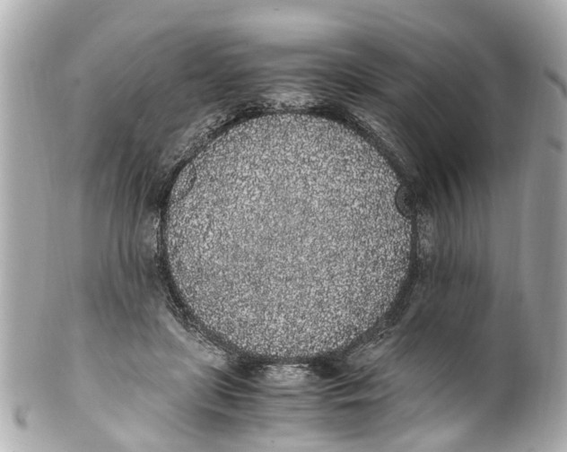 X0000101680451200807311523