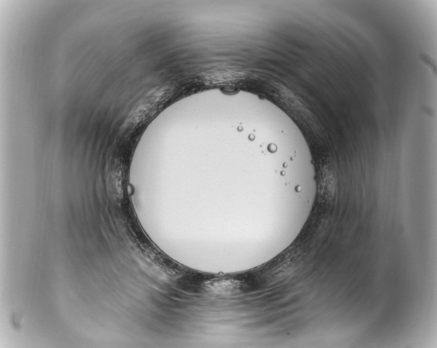 X0000101680452200807311523