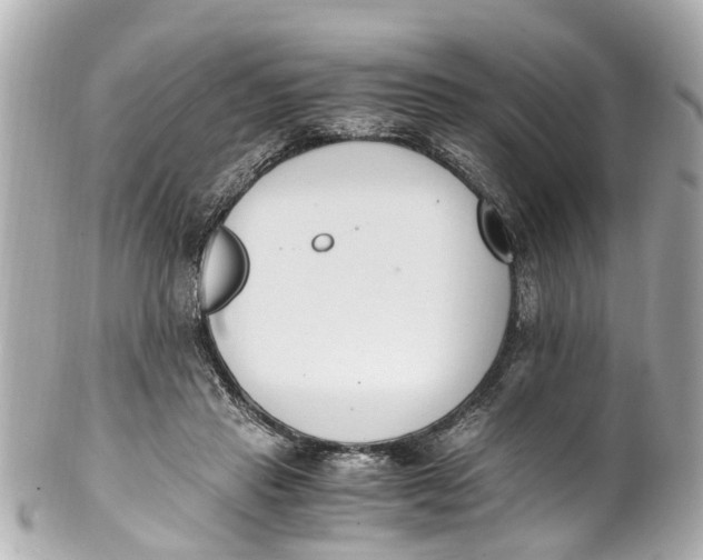 X0000101680453200807311523