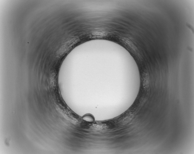 X0000101680455200807311523