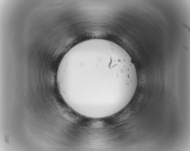 X0000101680456200807311523