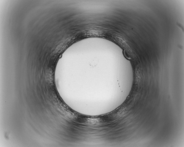 X0000101680457200807311523