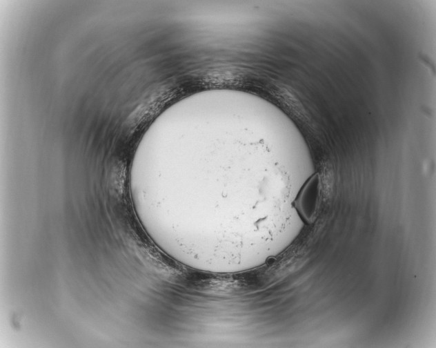 X0000101680458200807311523