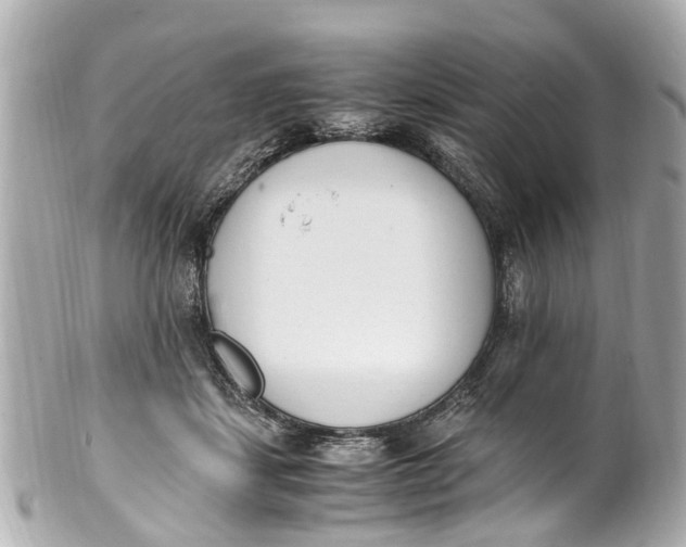 X0000101680459200807311523