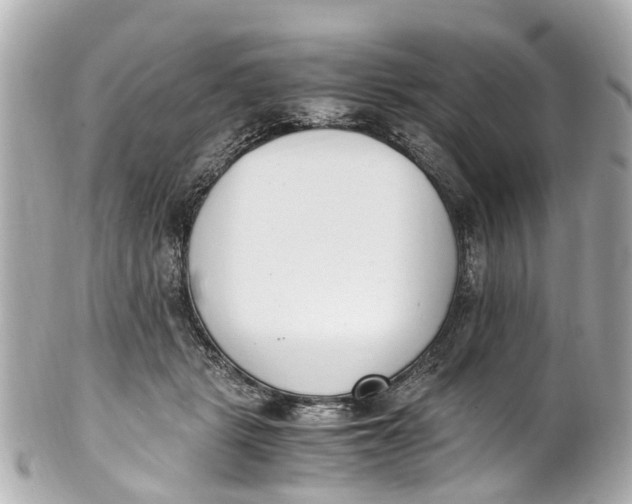 X0000101680461200807311523