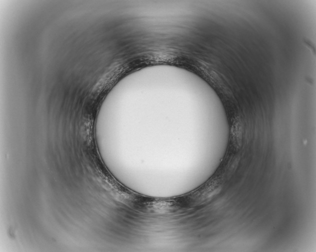 X0000101680462200807311523