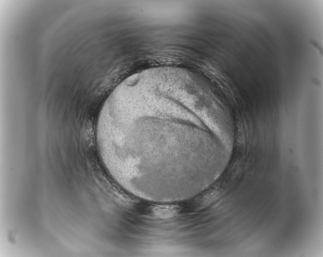 X0000101680465200807311523