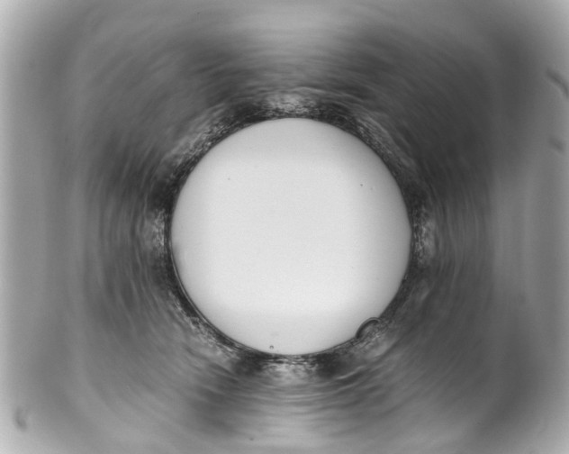 X0000101680466200807311523