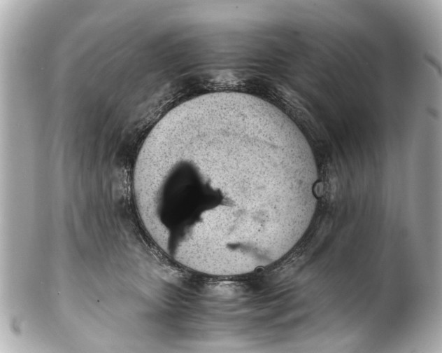 X0000101680467200807311523