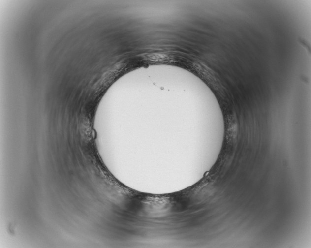 X0000101680469200807311523