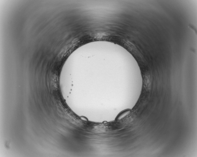 X0000101680470200807311523