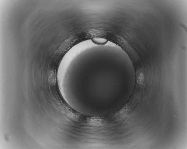 X0000101680471200807311523