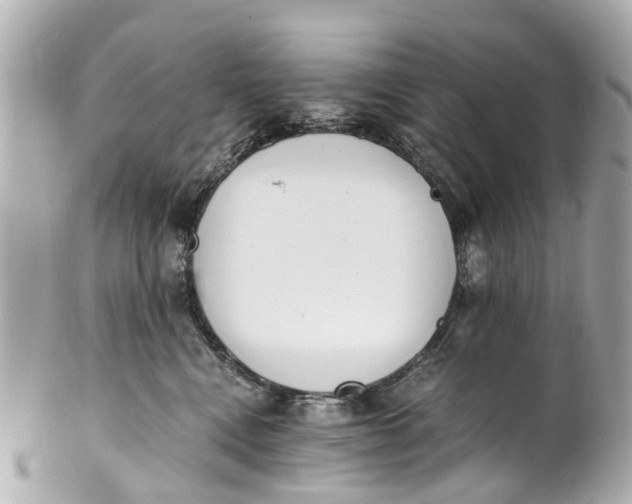 X0000101680472200807311523