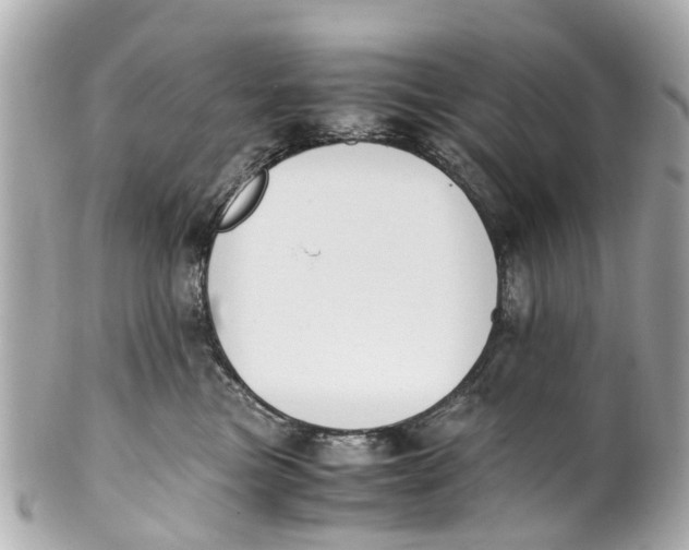 X0000101680473200807311523